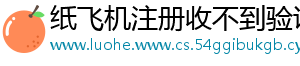 纸飞机注册收不到验证码